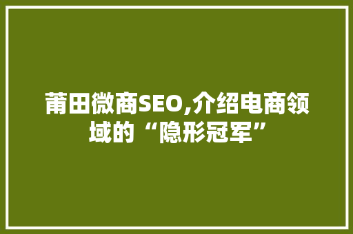 莆田微商SEO,介绍电商领域的“隐形冠军”
