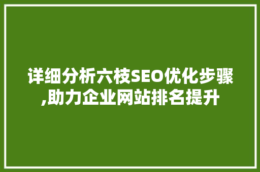 详细分析六枝SEO优化步骤,助力企业网站排名提升