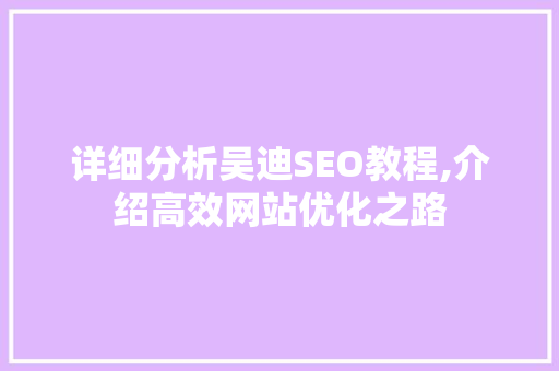 详细分析吴迪SEO教程,介绍高效网站优化之路