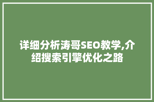 详细分析涛哥SEO教学,介绍搜索引擎优化之路