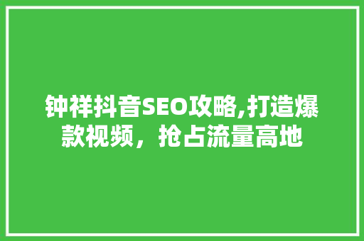 钟祥抖音SEO攻略,打造爆款视频，抢占流量高地