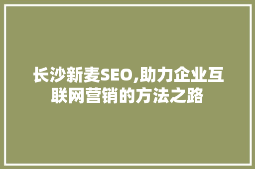 长沙新麦SEO,助力企业互联网营销的方法之路