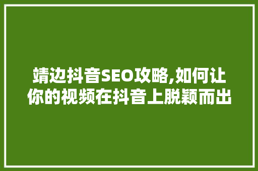 靖边抖音SEO攻略,如何让你的视频在抖音上脱颖而出