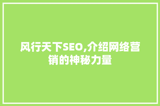 风行天下SEO,介绍网络营销的神秘力量
