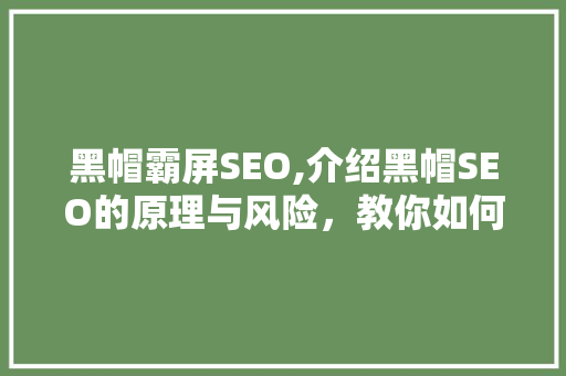 黑帽霸屏SEO,介绍黑帽SEO的原理与风险，教你如何正确进行SEO优化