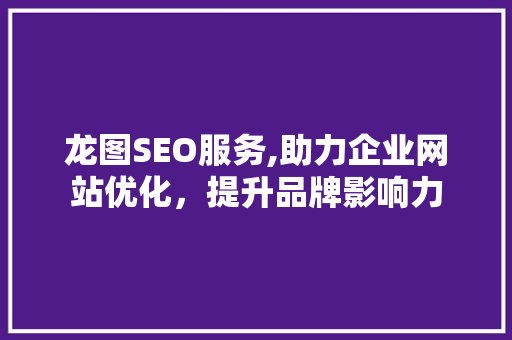 龙图SEO服务,助力企业网站优化，提升品牌影响力