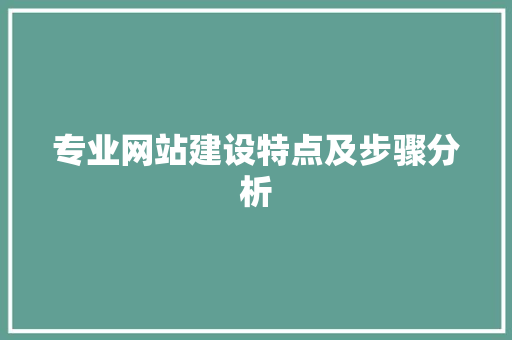 专业网站建设特点及步骤分析