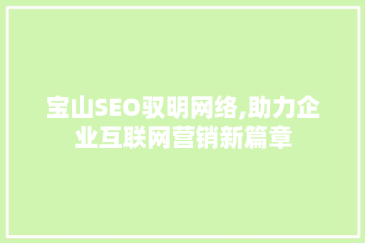 宝山SEO驭明网络,助力企业互联网营销新篇章