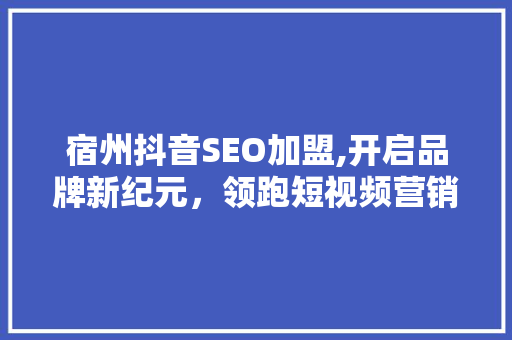 宿州抖音SEO加盟,开启品牌新纪元，领跑短视频营销潮流 WordPress教程