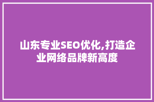 山东专业SEO优化,打造企业网络品牌新高度