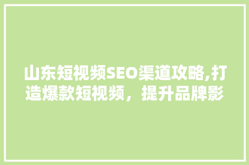 山东短视频SEO渠道攻略,打造爆款短视频，提升品牌影响力