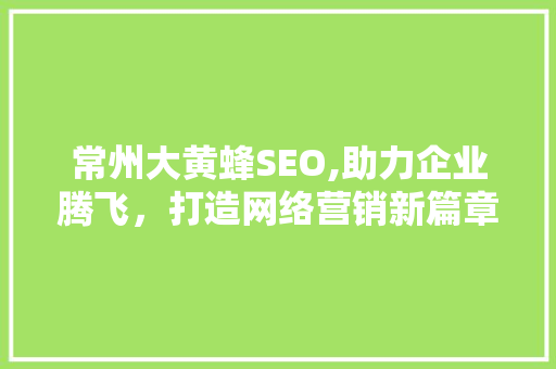 常州大黄蜂SEO,助力企业腾飞，打造网络营销新篇章