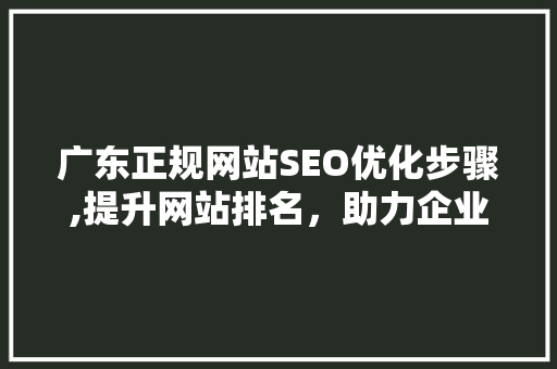 广东正规网站SEO优化步骤,提升网站排名，助力企业腾飞