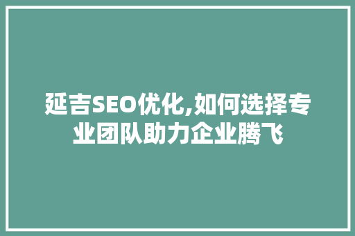 延吉SEO优化,如何选择专业团队助力企业腾飞