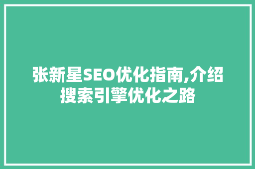 张新星SEO优化指南,介绍搜索引擎优化之路