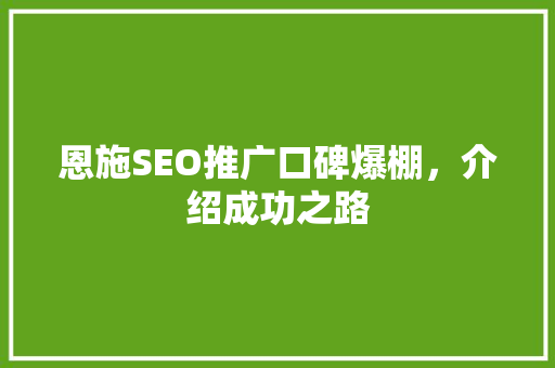 恩施SEO推广口碑爆棚，介绍成功之路
