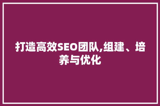 打造高效SEO团队,组建、培养与优化