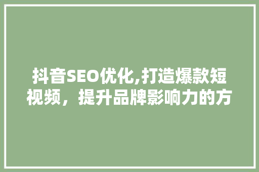 抖音SEO优化,打造爆款短视频，提升品牌影响力的方法