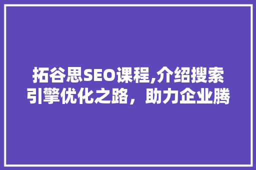 拓谷思SEO课程,介绍搜索引擎优化之路，助力企业腾飞