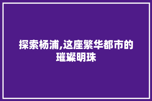 探索杨浦,这座繁华都市的璀璨明珠