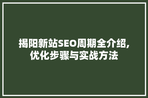 揭阳新站SEO周期全介绍,优化步骤与实战方法