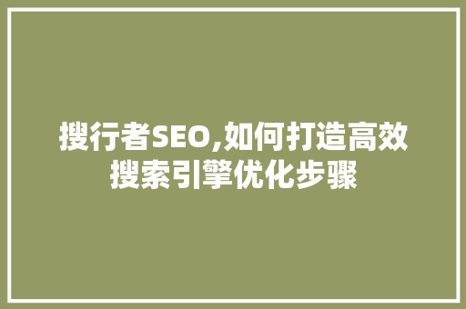 搜行者SEO,如何打造高效搜索引擎优化步骤