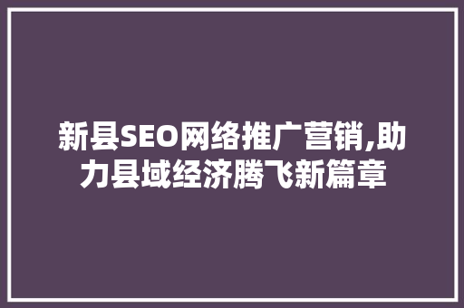新县SEO网络推广营销,助力县域经济腾飞新篇章