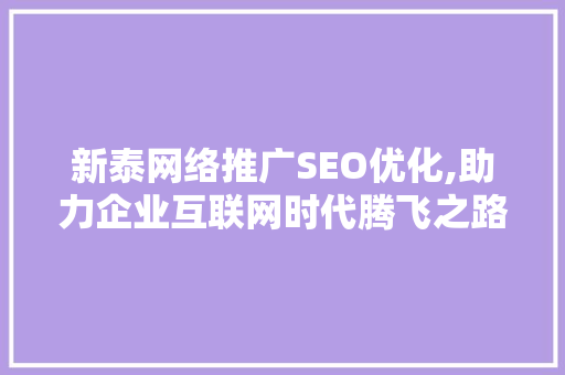 新泰网络推广SEO优化,助力企业互联网时代腾飞之路