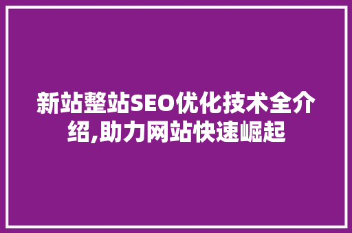 新站整站SEO优化技术全介绍,助力网站快速崛起