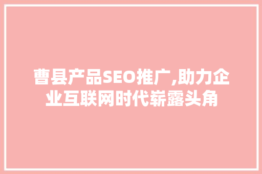 曹县产品SEO推广,助力企业互联网时代崭露头角