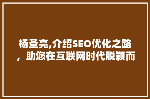 杨圣亮,介绍SEO优化之路，助您在互联网时代脱颖而出
