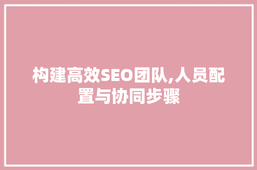 构建高效SEO团队,人员配置与协同步骤