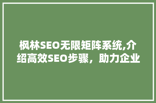 枫林SEO无限矩阵系统,介绍高效SEO步骤，助力企业网站优化