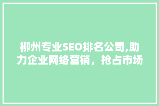 柳州专业SEO排名公司,助力企业网络营销，抢占市场先机