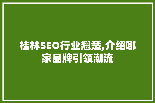 桂林SEO行业翘楚,介绍哪家品牌引领潮流
