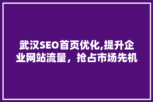 武汉SEO首页优化,提升企业网站流量，抢占市场先机
