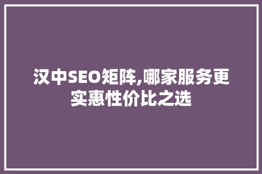 汉中SEO矩阵,哪家服务更实惠性价比之选