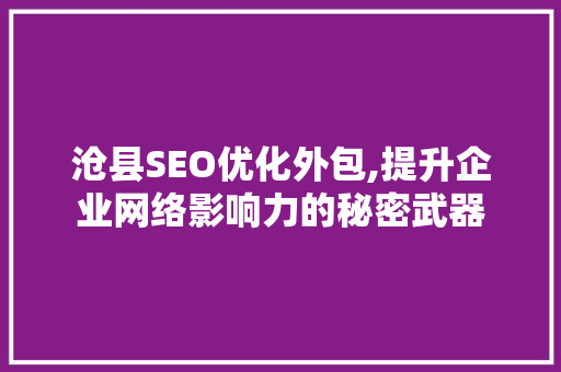 沧县SEO优化外包,提升企业网络影响力的秘密武器