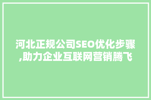 河北正规公司SEO优化步骤,助力企业互联网营销腾飞