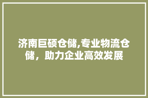 济南巨硕仓储,专业物流仓储，助力企业高效发展