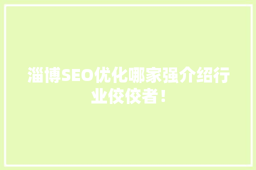 淄博SEO优化哪家强介绍行业佼佼者！