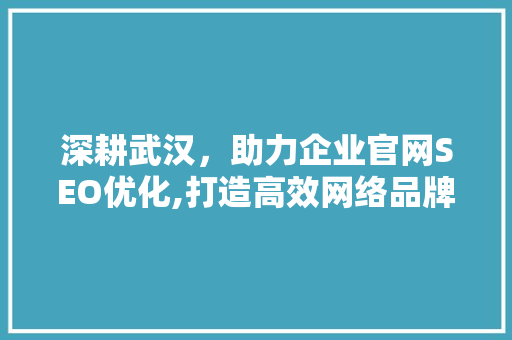 深耕武汉，助力企业官网SEO优化,打造高效网络品牌形象