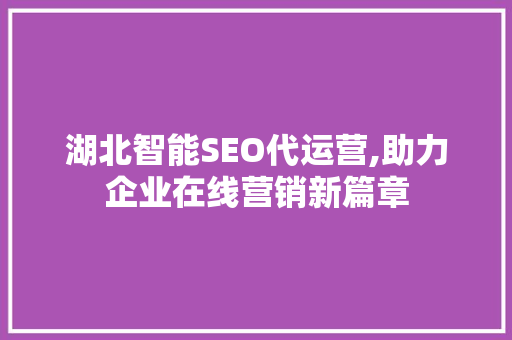 湖北智能SEO代运营,助力企业在线营销新篇章