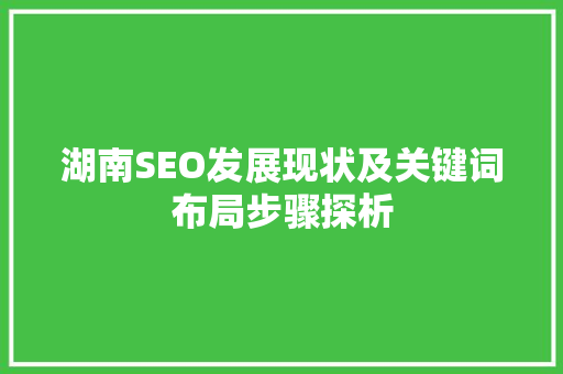 湖南SEO发展现状及关键词布局步骤探析