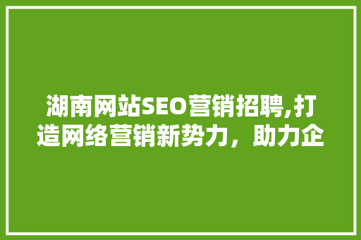 湖南网站SEO营销招聘,打造网络营销新势力，助力企业腾飞