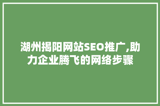 湖州揭阳网站SEO推广,助力企业腾飞的网络步骤
