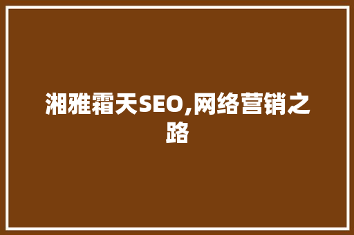 湘雅霜天SEO,网络营销之路