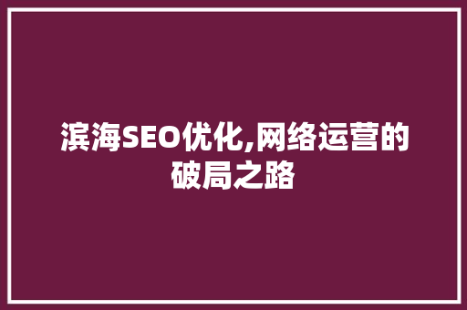 滨海SEO优化,网络运营的破局之路