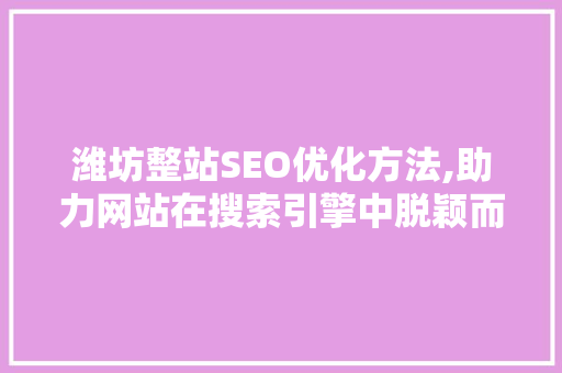 潍坊整站SEO优化方法,助力网站在搜索引擎中脱颖而出