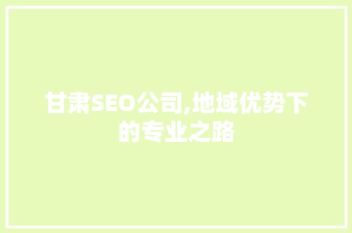 甘肃SEO公司,地域优势下的专业之路